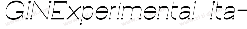 GINExperimental Ita字体转换